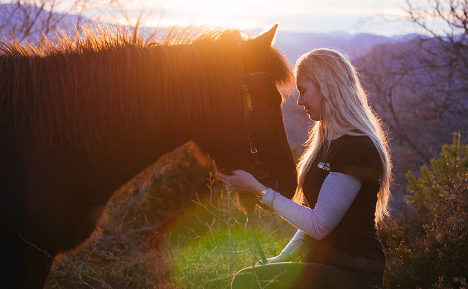 Halvdagstur på islandshest