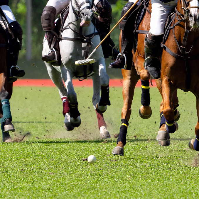 Prøv hestepolo
