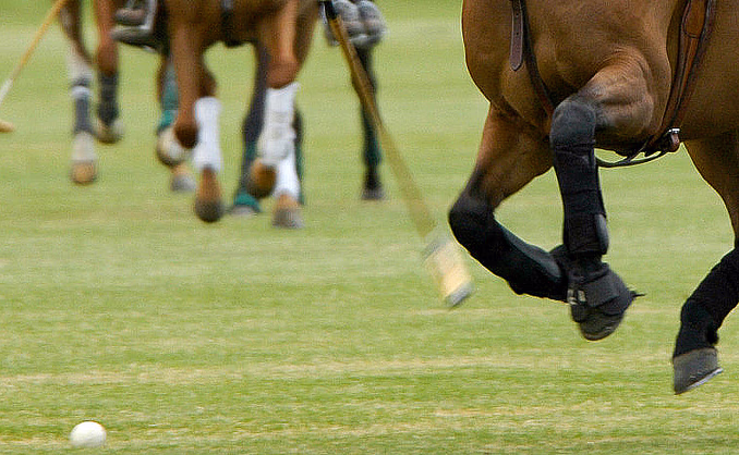 Prøv hestepolo