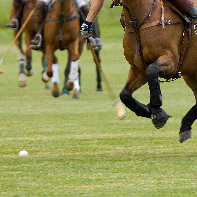 Prøv hestepolo