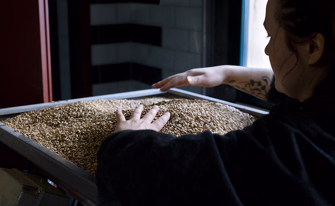 Ølsmaking og bryggeriomvisning