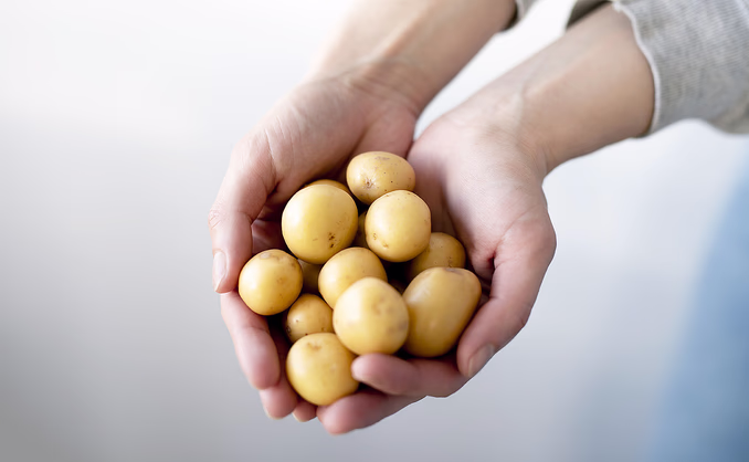 Øl- og akevittsmaking