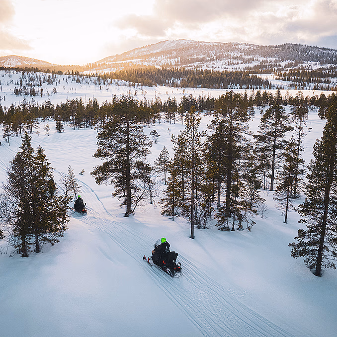 Snøscootersafari heldag