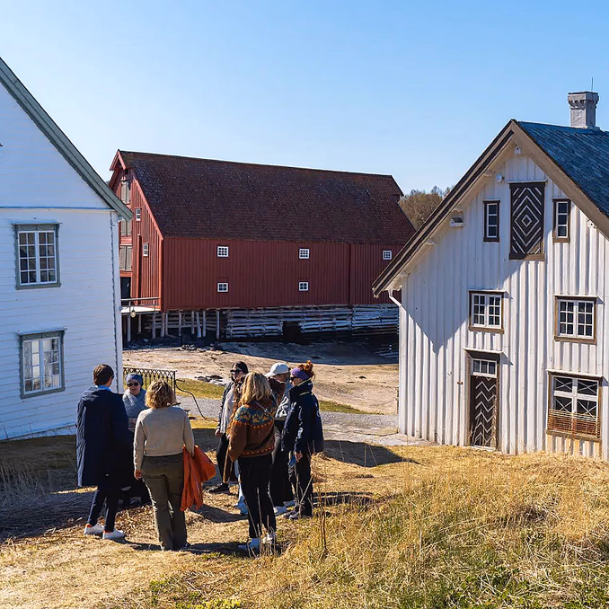 Kjerringøy cruise