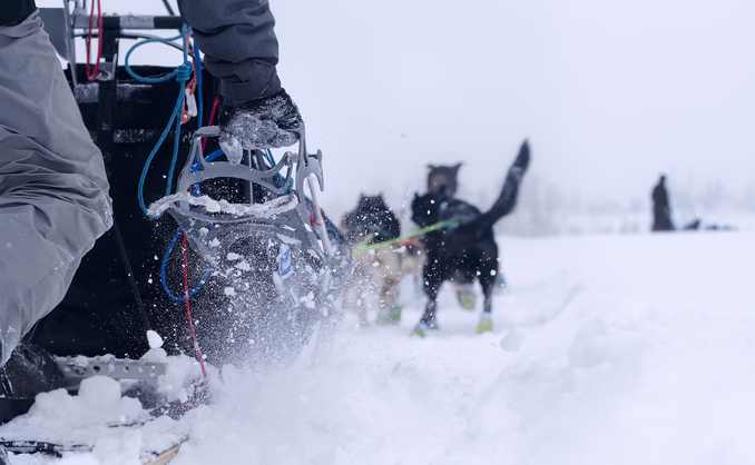Hundekjøring, kennelbesøk og overnatting