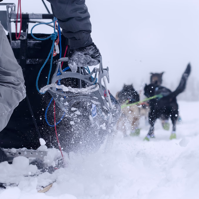 Hundekjøring, kennelbesøk og overnatting