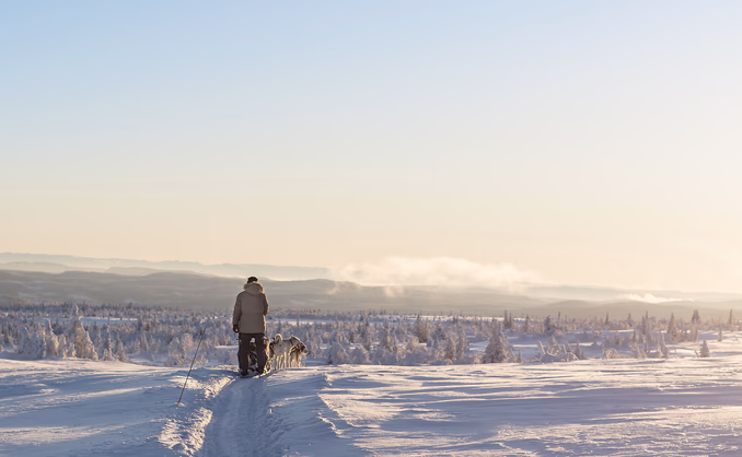 Hundekjøring, kennelbesøk og overnatting