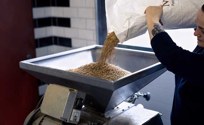Ølsmaking og bryggeriomvisning