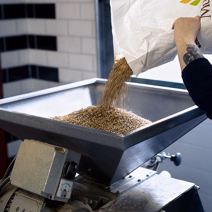 Ølsmaking og bryggeriomvisning