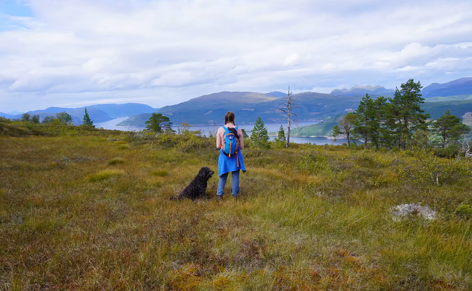 Loven Lodge gårdsopphold