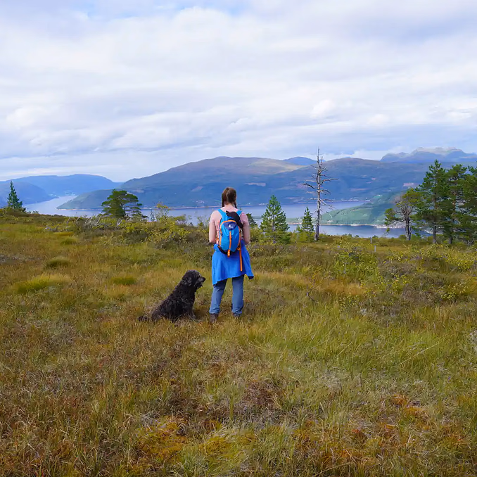 Loven Lodge gårdsopphold