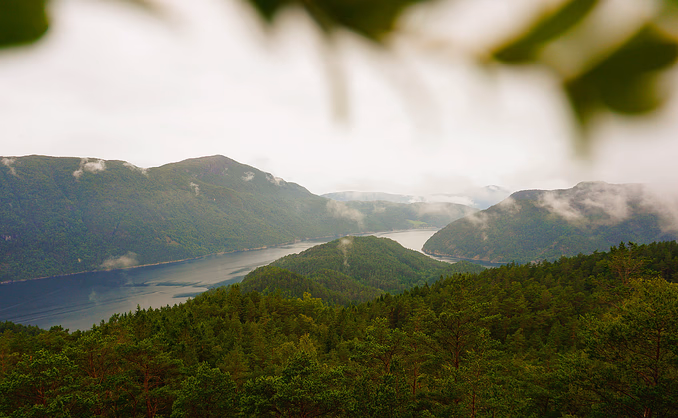 Himom Fjordcabin