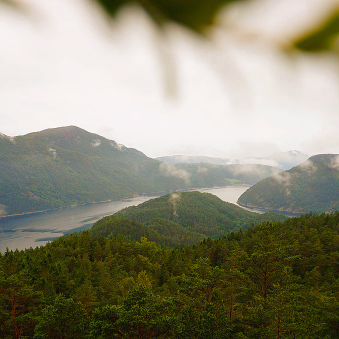 Himom Fjordcabin