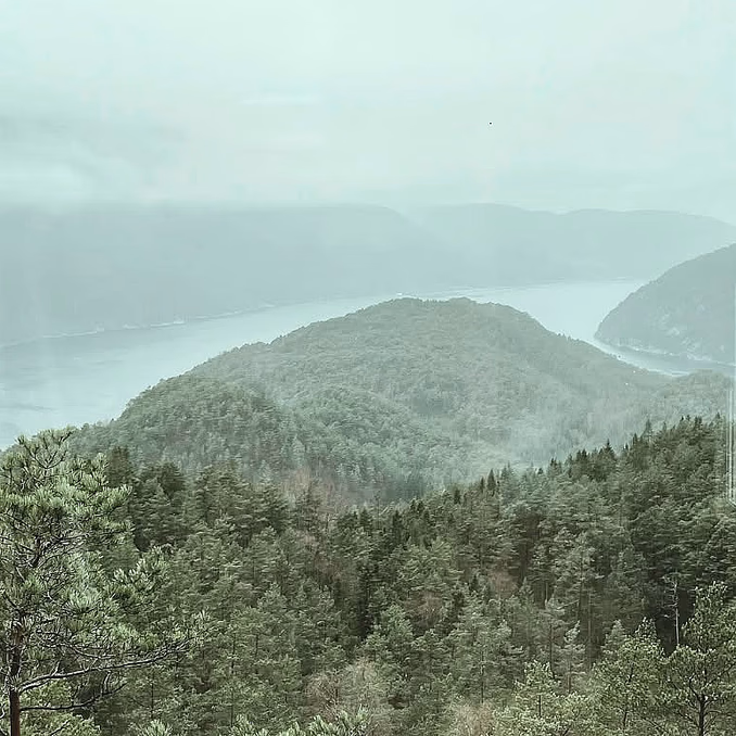 Himom Fjordcabin