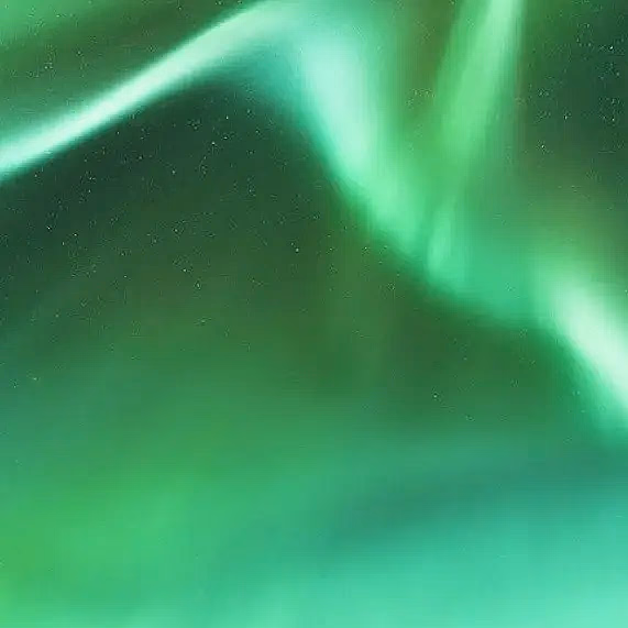 Nordlyscruise i Lofoten