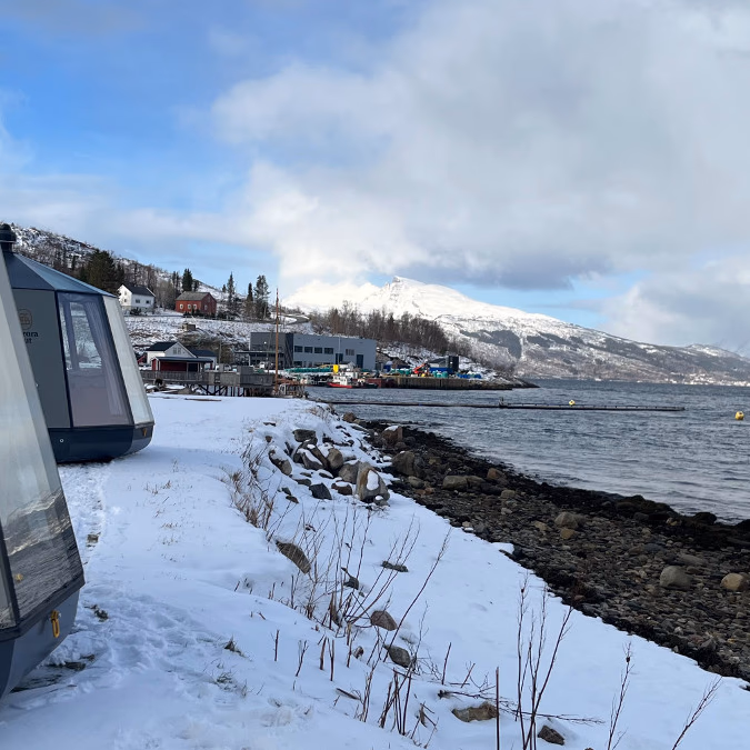 Aurora Camp