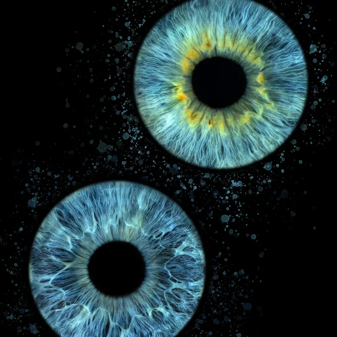 Ditt øye som kunst
