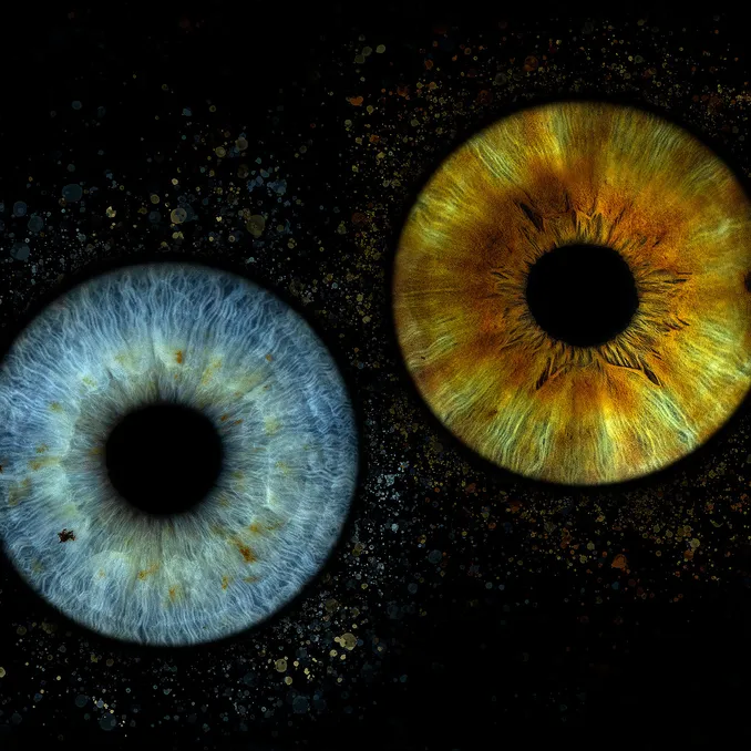 Ditt øye som kunst