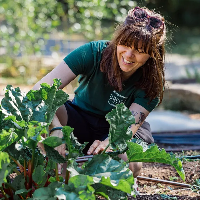 Sankekurs av urter og spiselige blomster