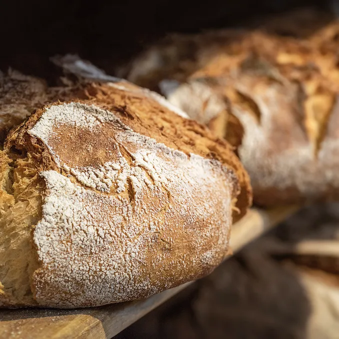 Surdeigsbakekurs med Margit Vea