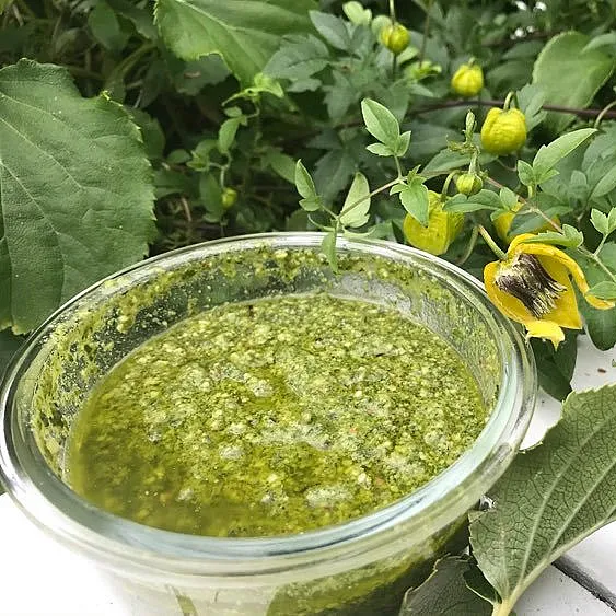 Pestokurs med Margit Vea