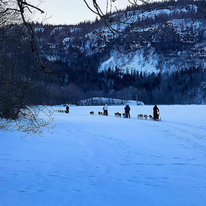 Herregårdsopphold og hundekjøring