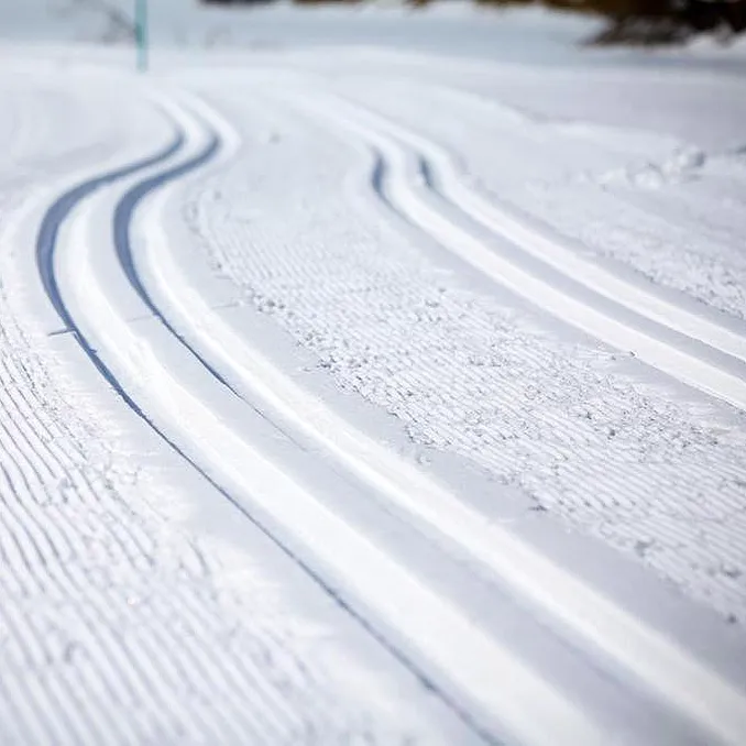 Herregårdsopphold og hundekjøring
