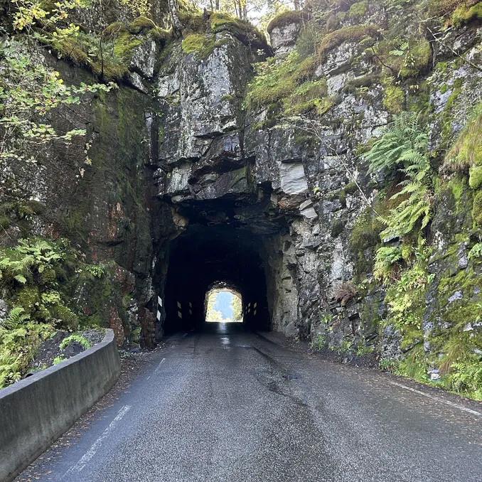 Historisk smaksvandring ved Osterfjorden