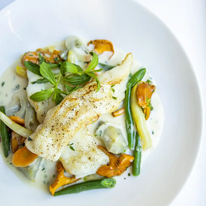 Matkurs med Bent Stiansen