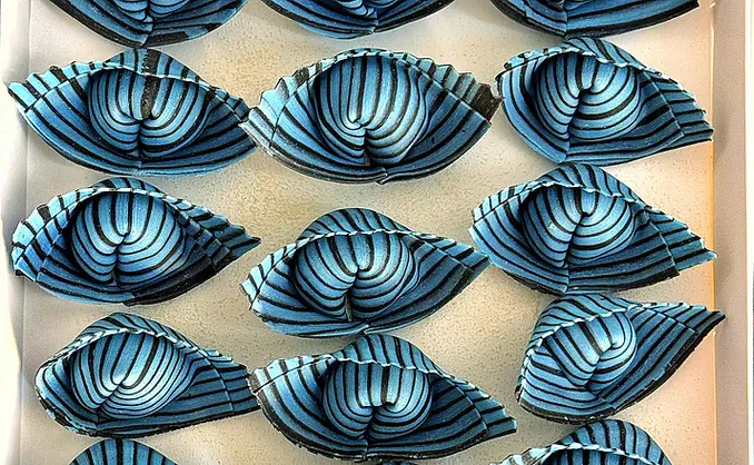 Italiensk ravioli masterclass