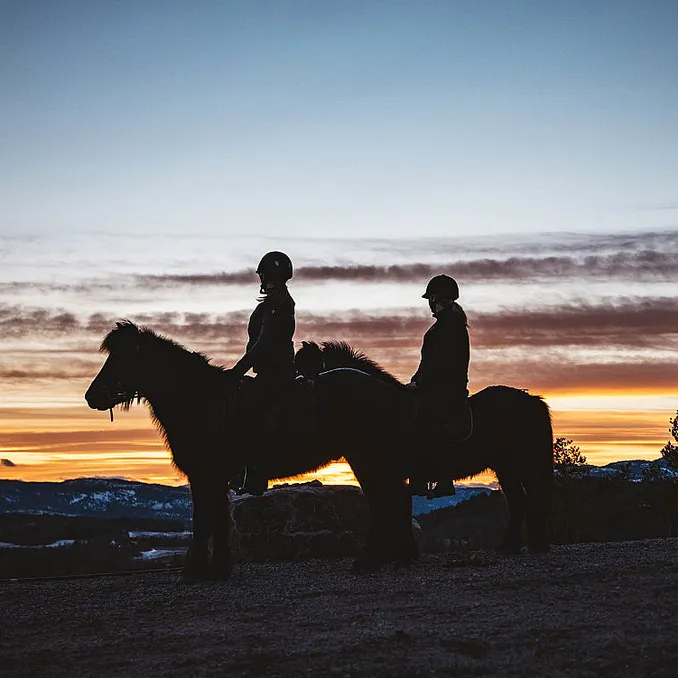 Halvdagstur på islandshest