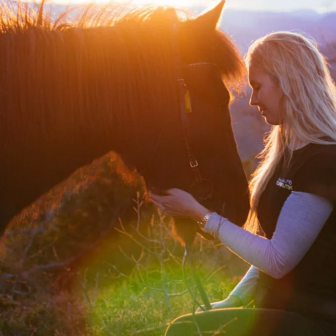 Halvdagstur på islandshest