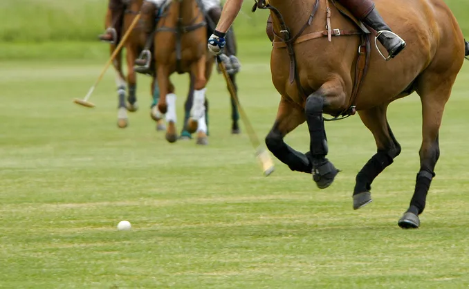 Prøv hestepolo