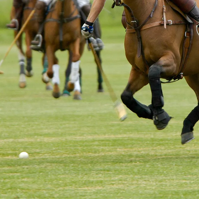 Prøv hestepolo