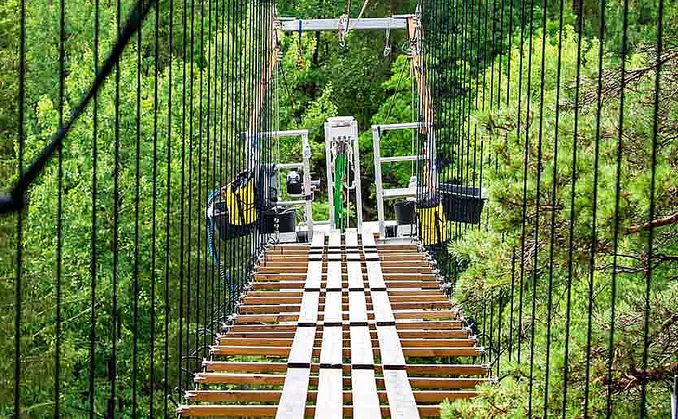 Bungy Bridge Walk