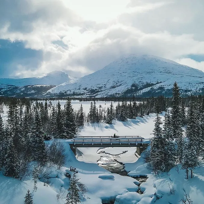 Snøscootersafari heldag