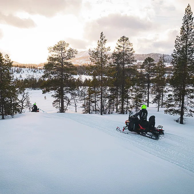 Snøscootersafari heldag