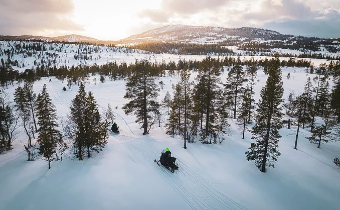 Snøscootersafari heldag