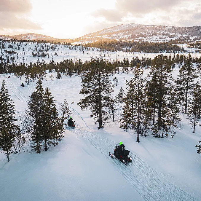 Snøscootersafari heldag