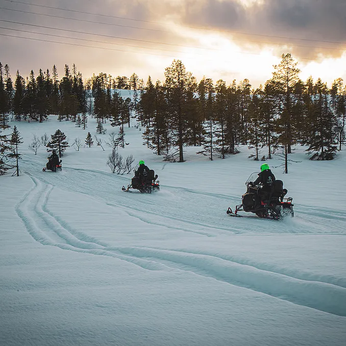 Snøscootersafari heldag