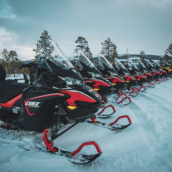 Snøscootersafari heldag
