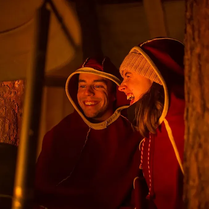 Reinsdyrsafari med middag og nordlys