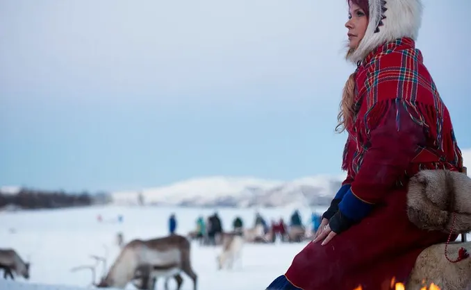 Reinsdyrforing og samisk kultur