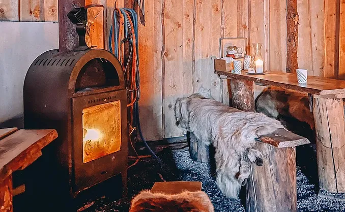 Reinsdyrforing og samisk kultur