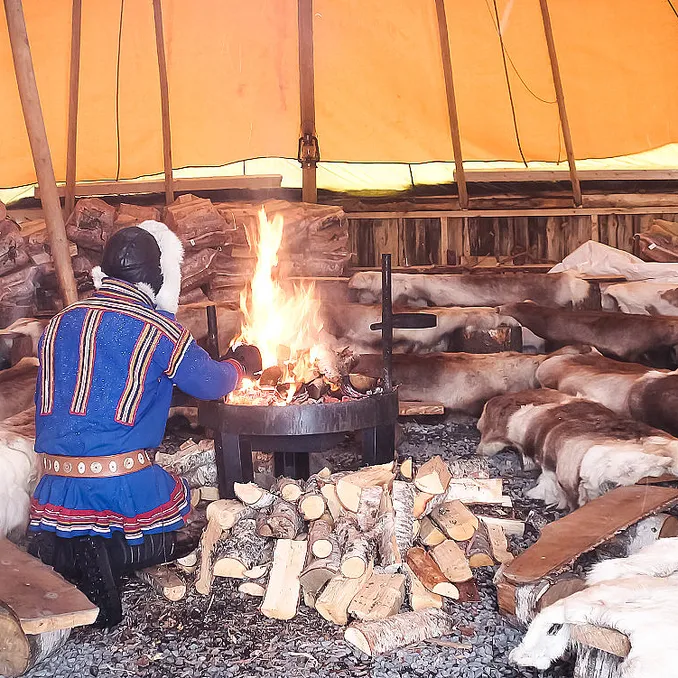 Reinsdyrforing og samisk kultur