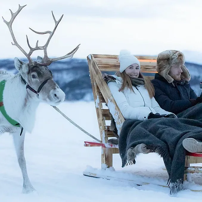 Reinsdyrsafari deluxe