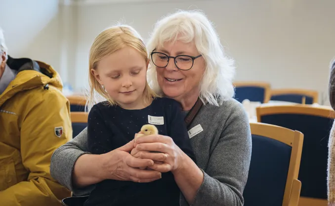 Familieårskort Vestfoldmuseene