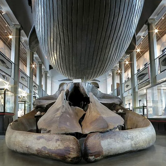 Årskort Vestfoldmuseene