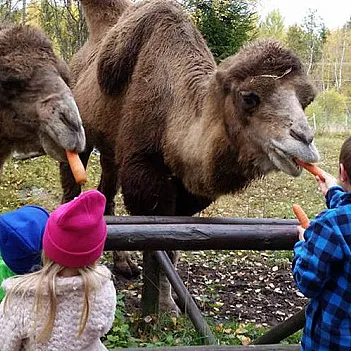 Familiedag i dyreparken