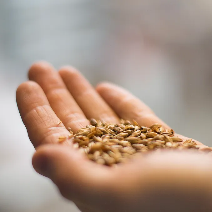 Ølsmaking og bryggeriomvisning